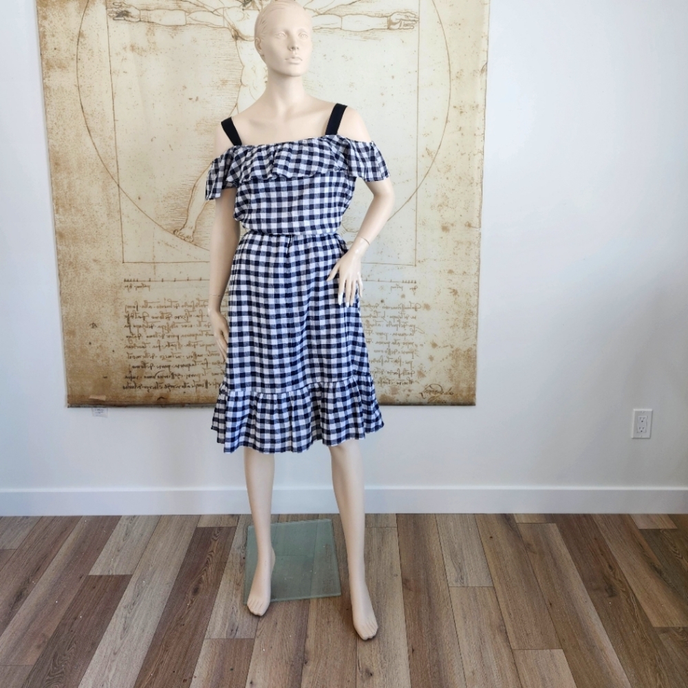 Gingham lined dress (New with tags)